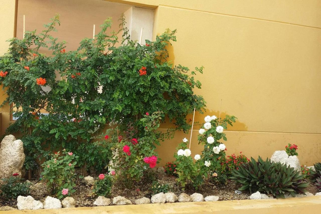 431 - Edif Aguamarina - Vacation Rental Home In The Coast Line Of Golf Del Sur San Miguel de Abona Exteriör bild